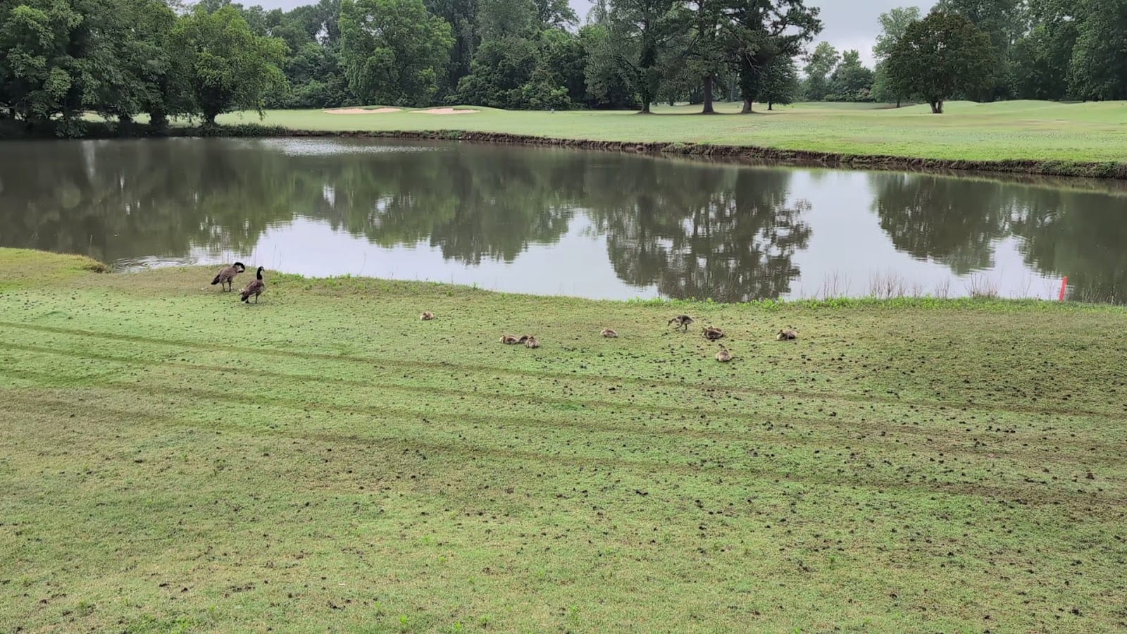 Rebsamen Park Golf Course, photo 2