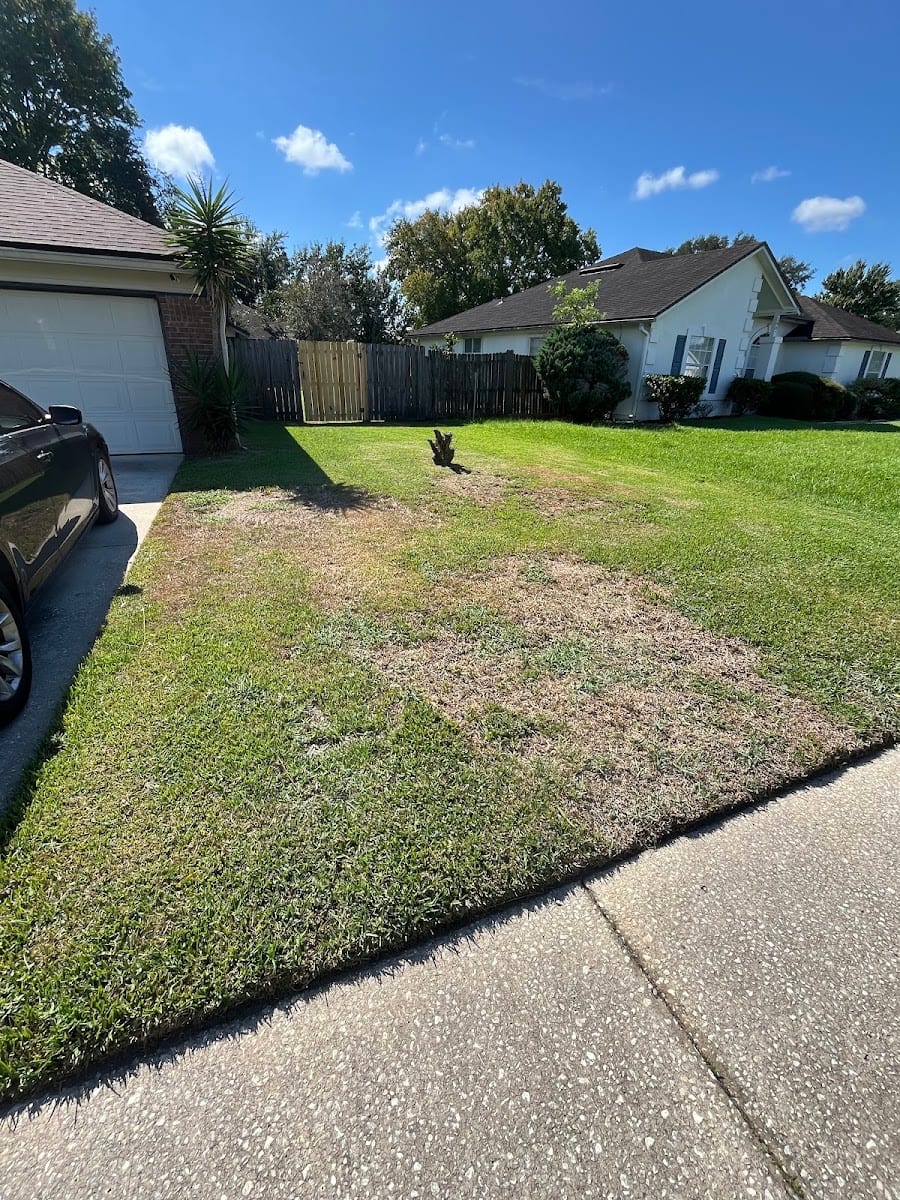 Massey Services Pest Control, photo 4