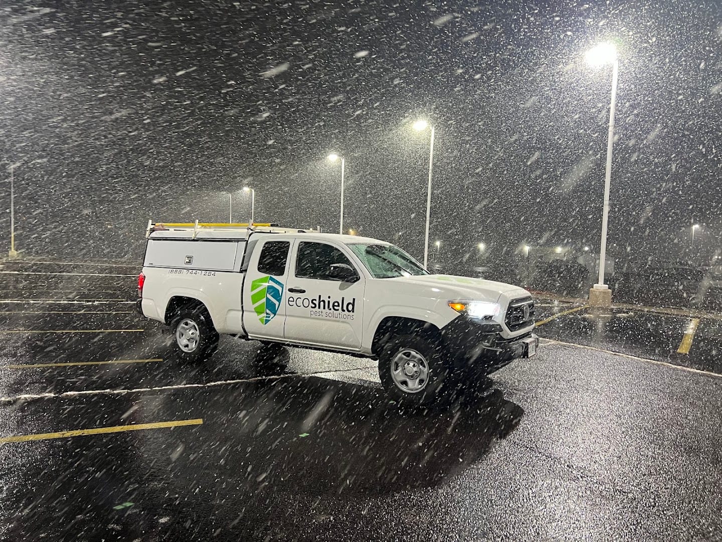 EcoShield Pest Solutions, photo 2