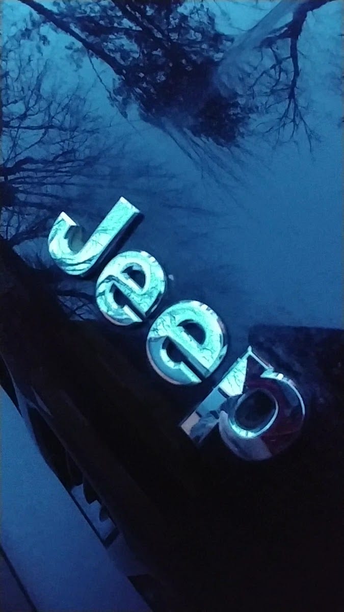 Casper Children's Center, photo 2