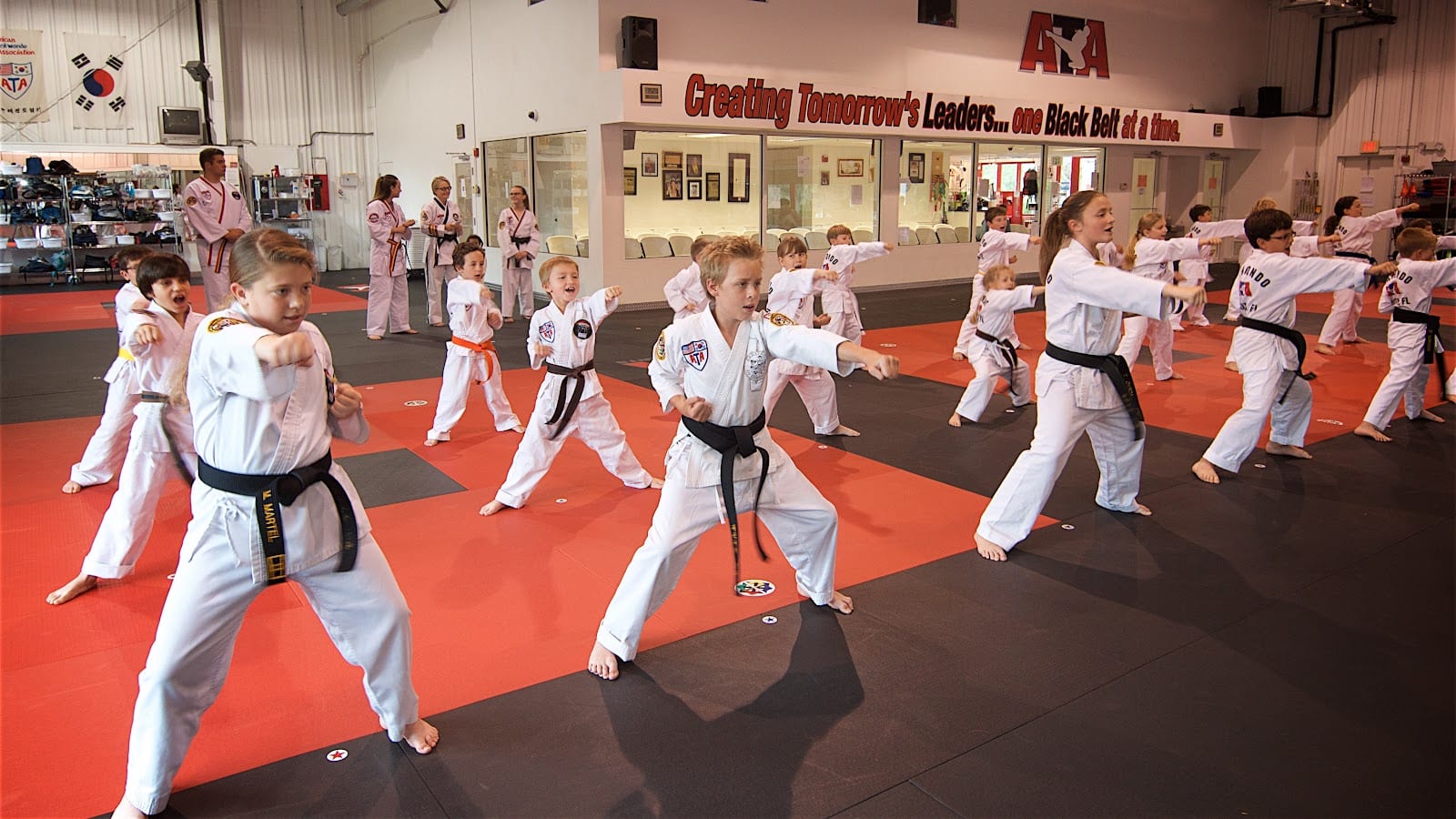 Transform Martial Arts, photo 2