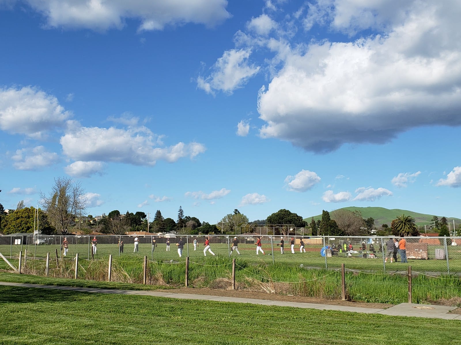 Community Park 1