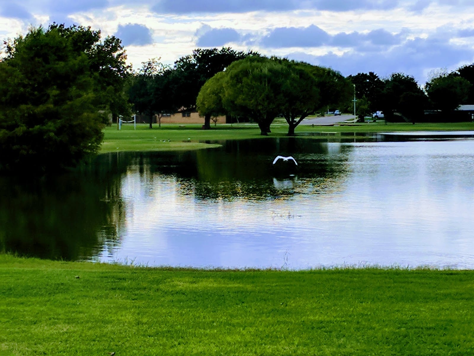 Frank Higinbotham Park, photo 3