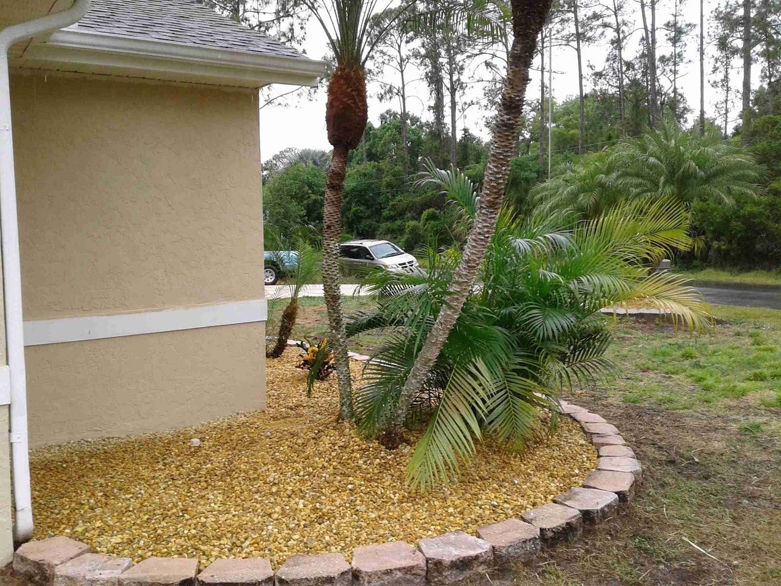 Tree Service Sarasota LLC, photo 2