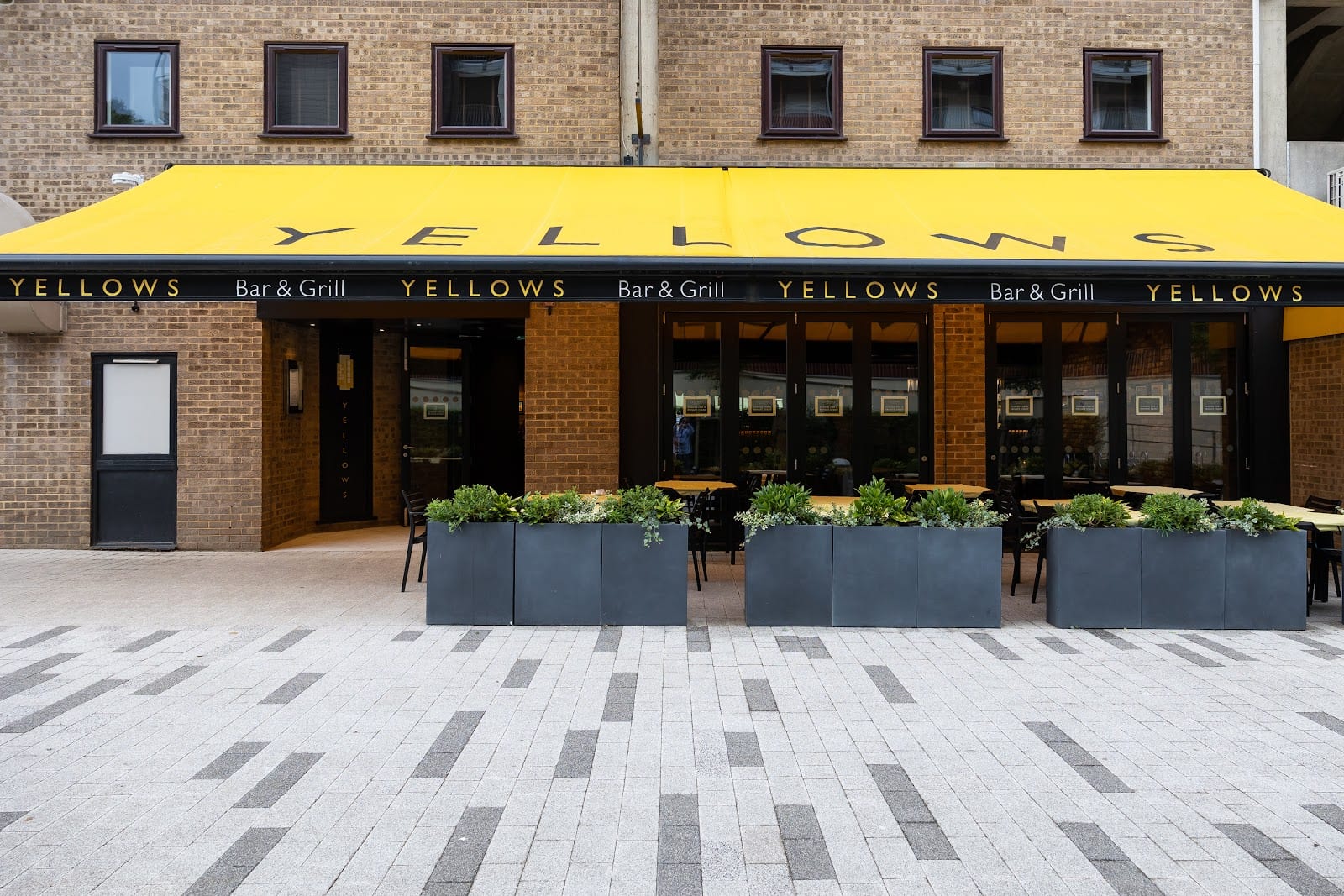 Yellows, photo 2