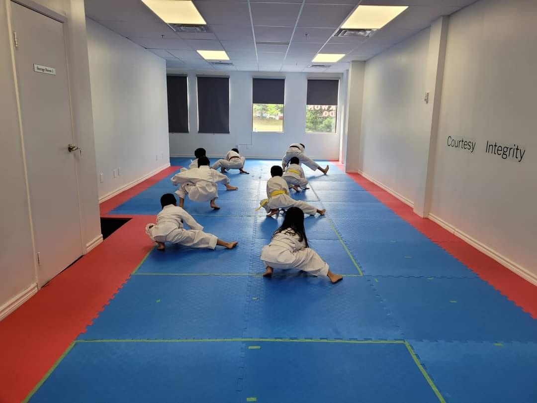 Canada Elite Spirit Taekwondo Club (Richmond Hill), photo 2
