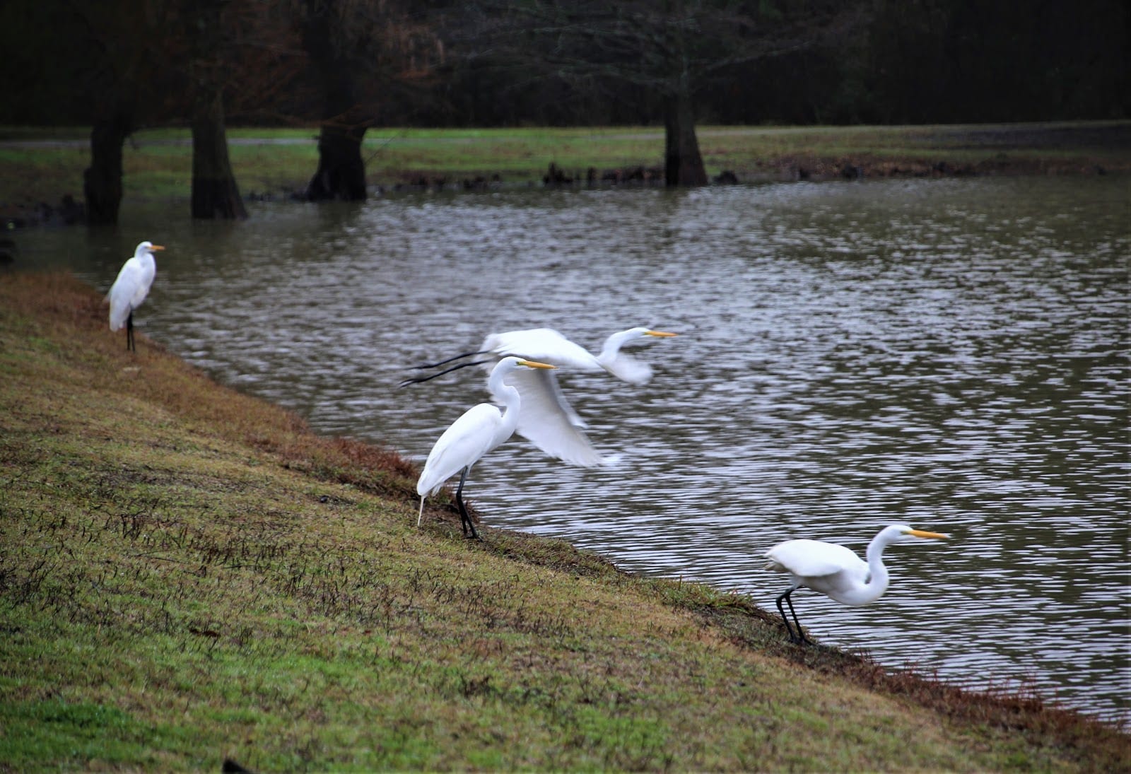 Leonard and Helen Johns Park