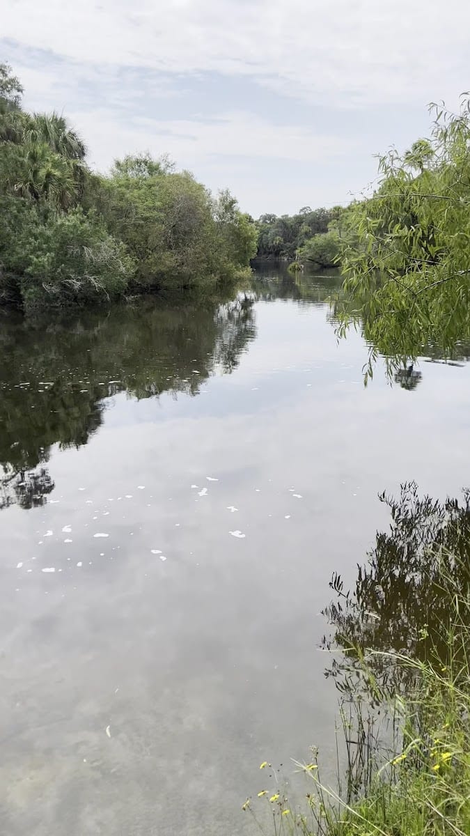 Sleeping Turtles Preserve North, photo 2
