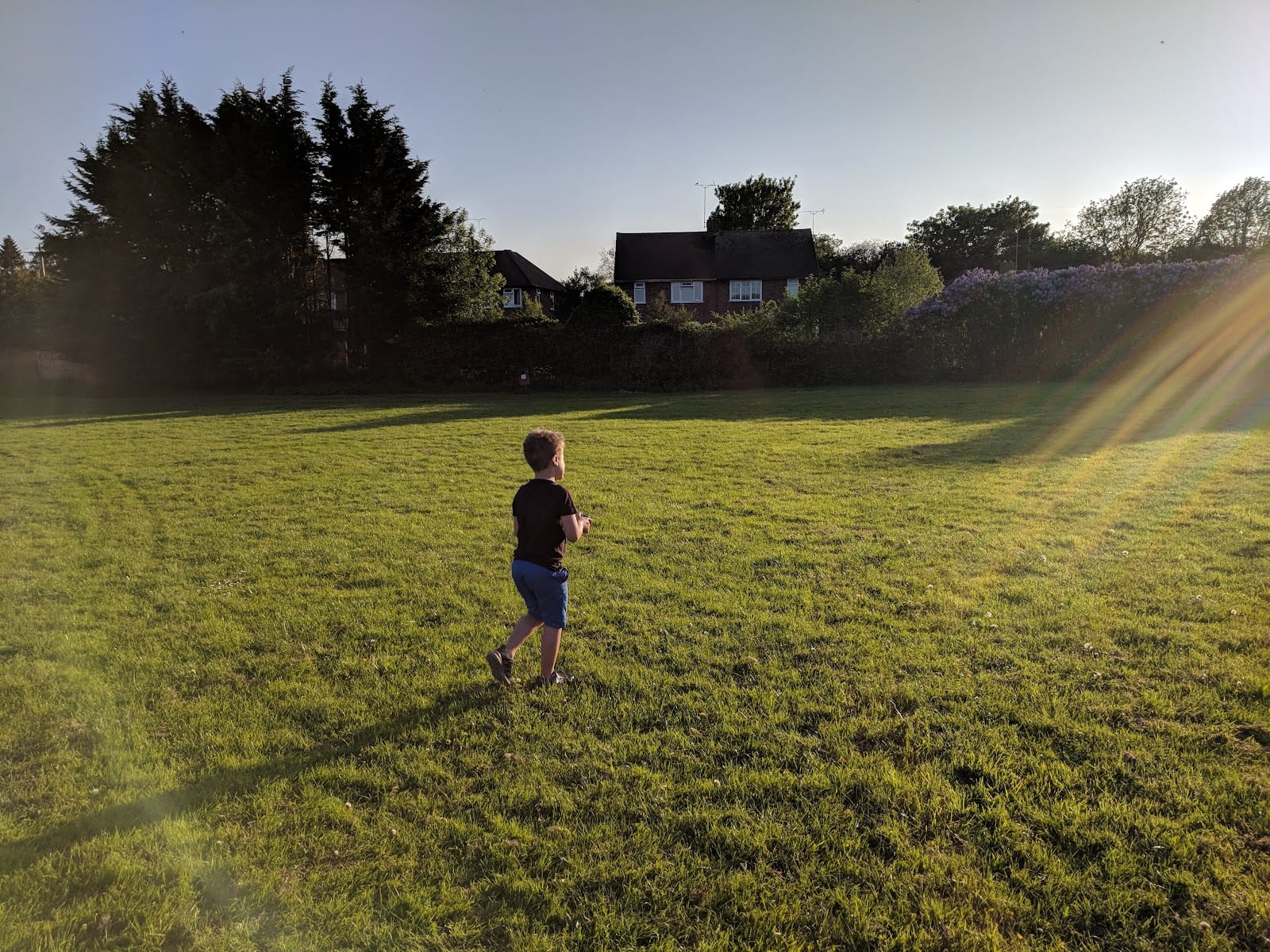 Sopwell Mill Open Space