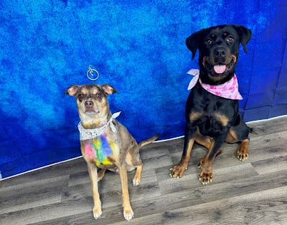 Aria’s Pawsitive Grooming LLC