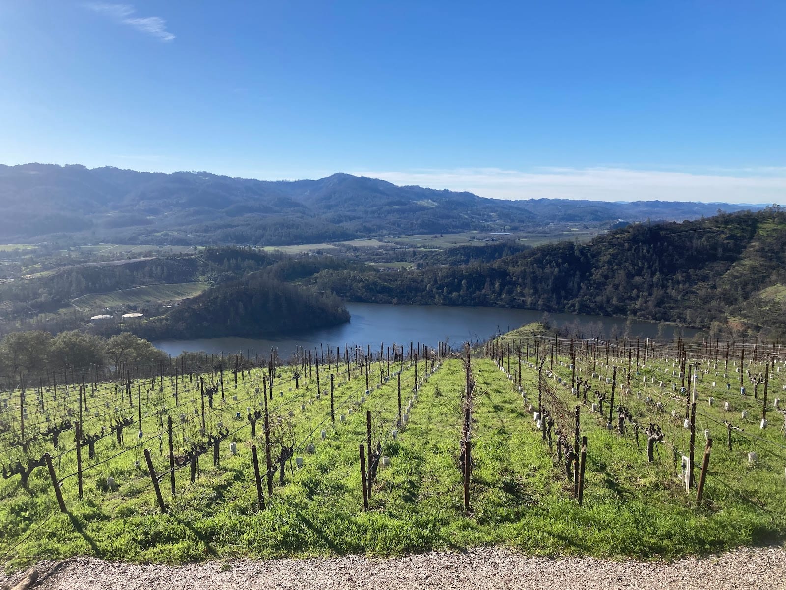 Viader Vineyards & Winery