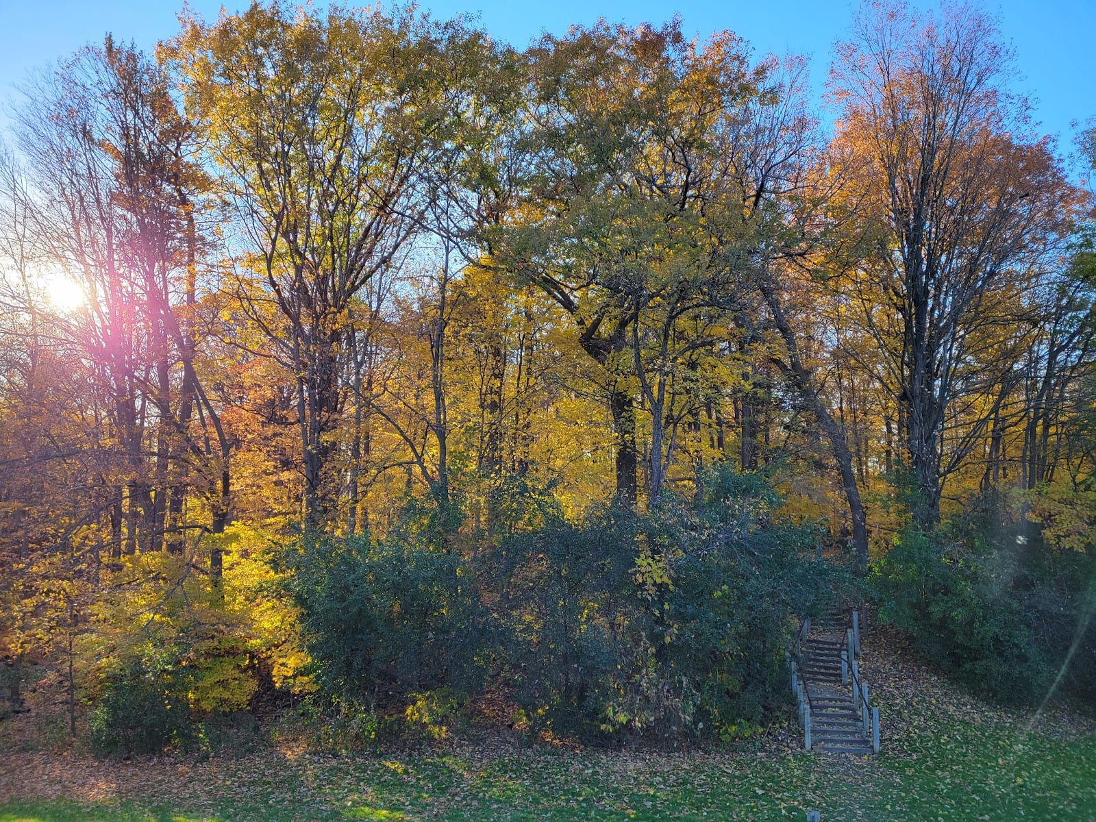 Burnett Park