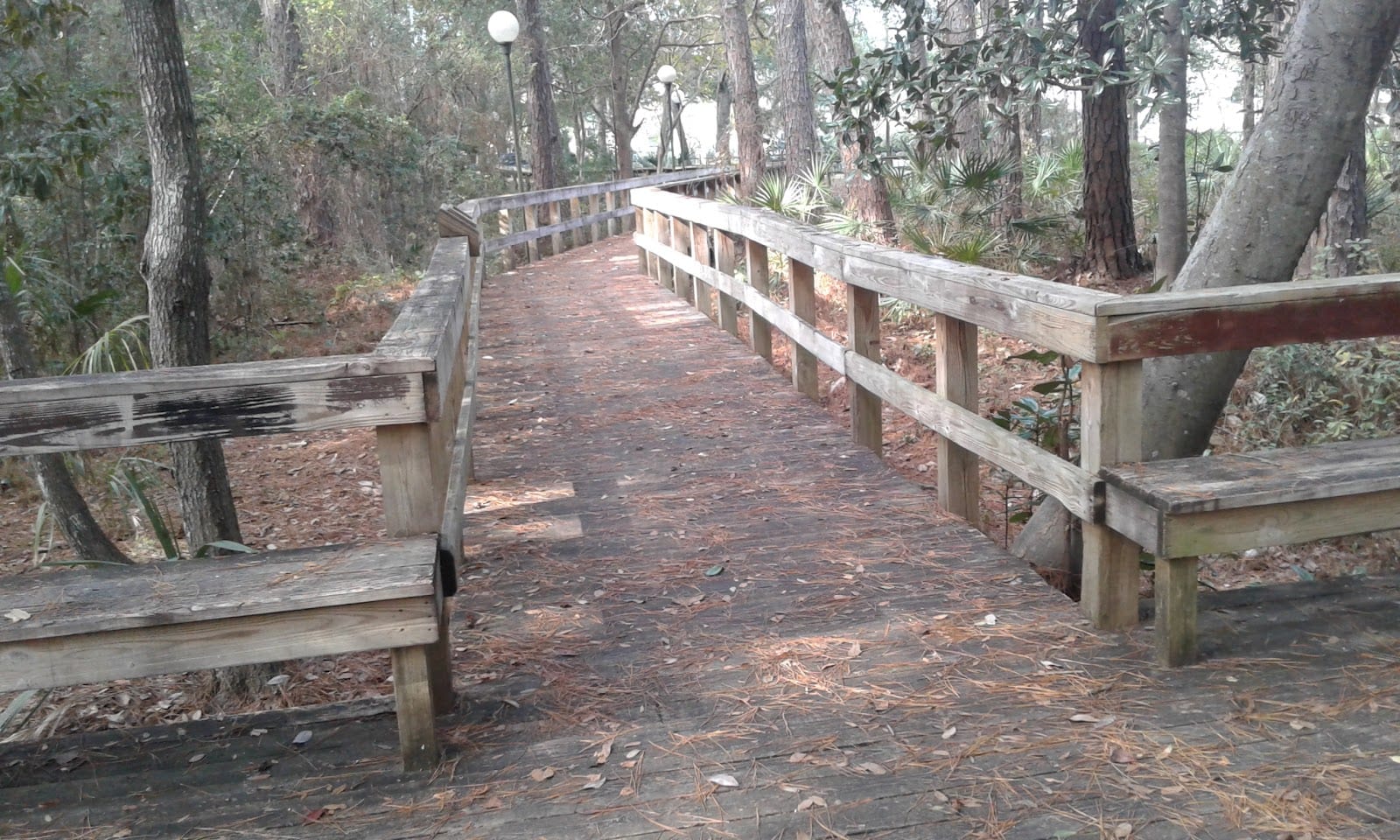 Sweet Bay Park
