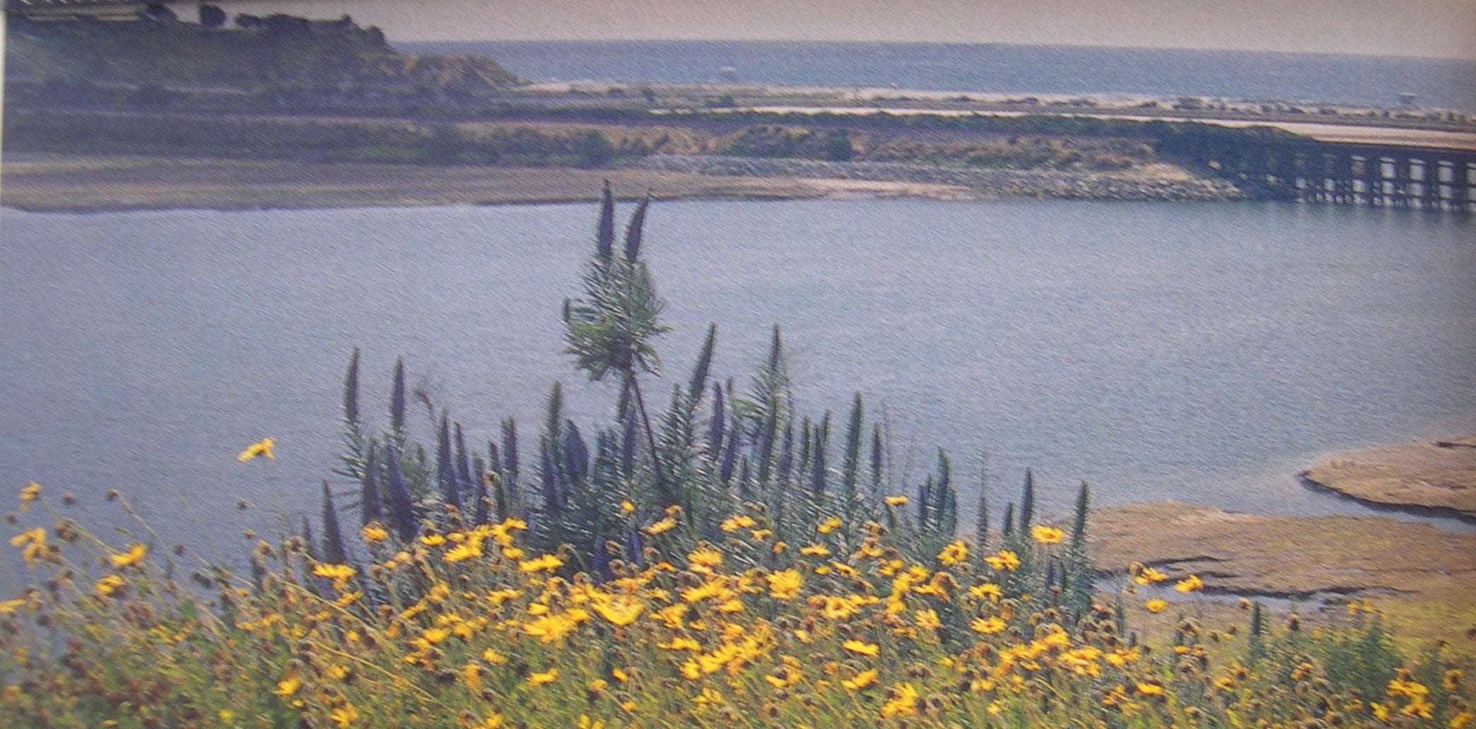 Carlsbad Hiking Trails: Batiquitos Lagoon Visitor Guide