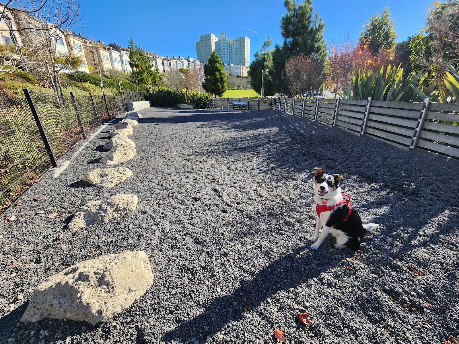 Brotherhood Mini Dog Park