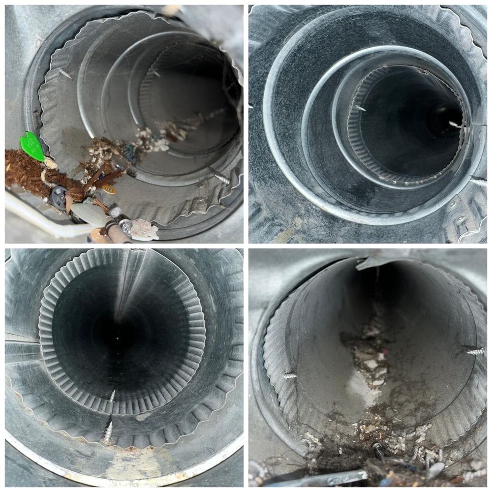 PAIB Pest Control Services and Dryer Vent & Air Duct Cleaning Services LLC Of FL ,, photo 4
