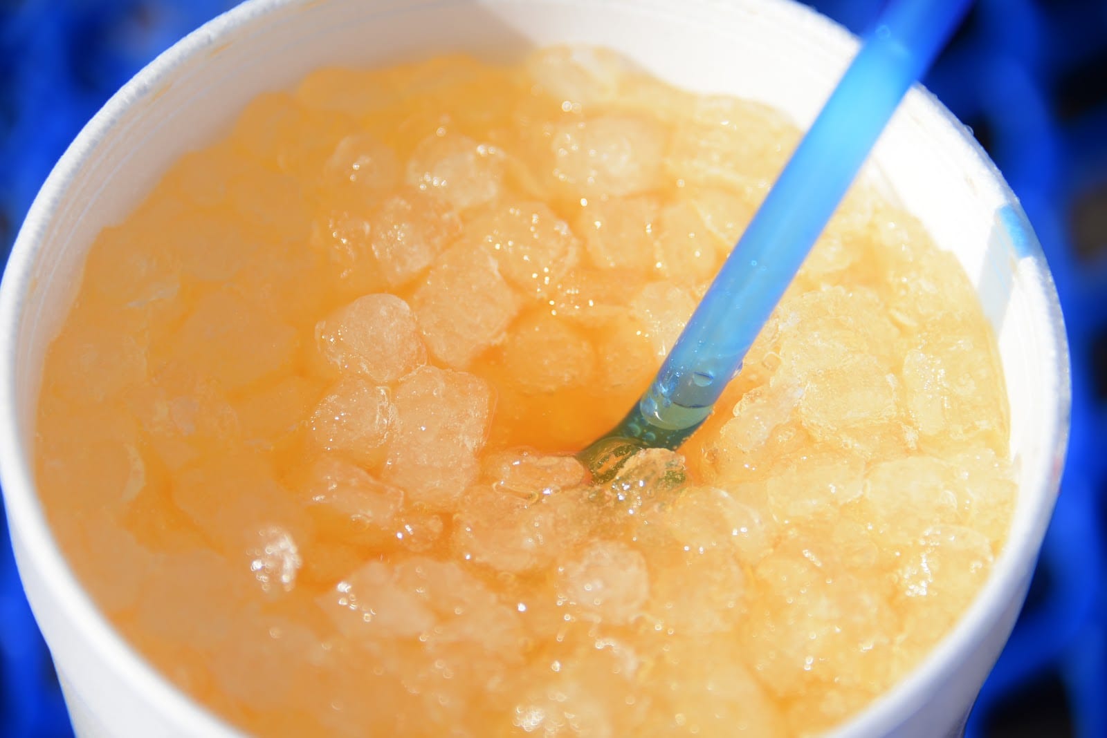 Slurps Up, photo 4