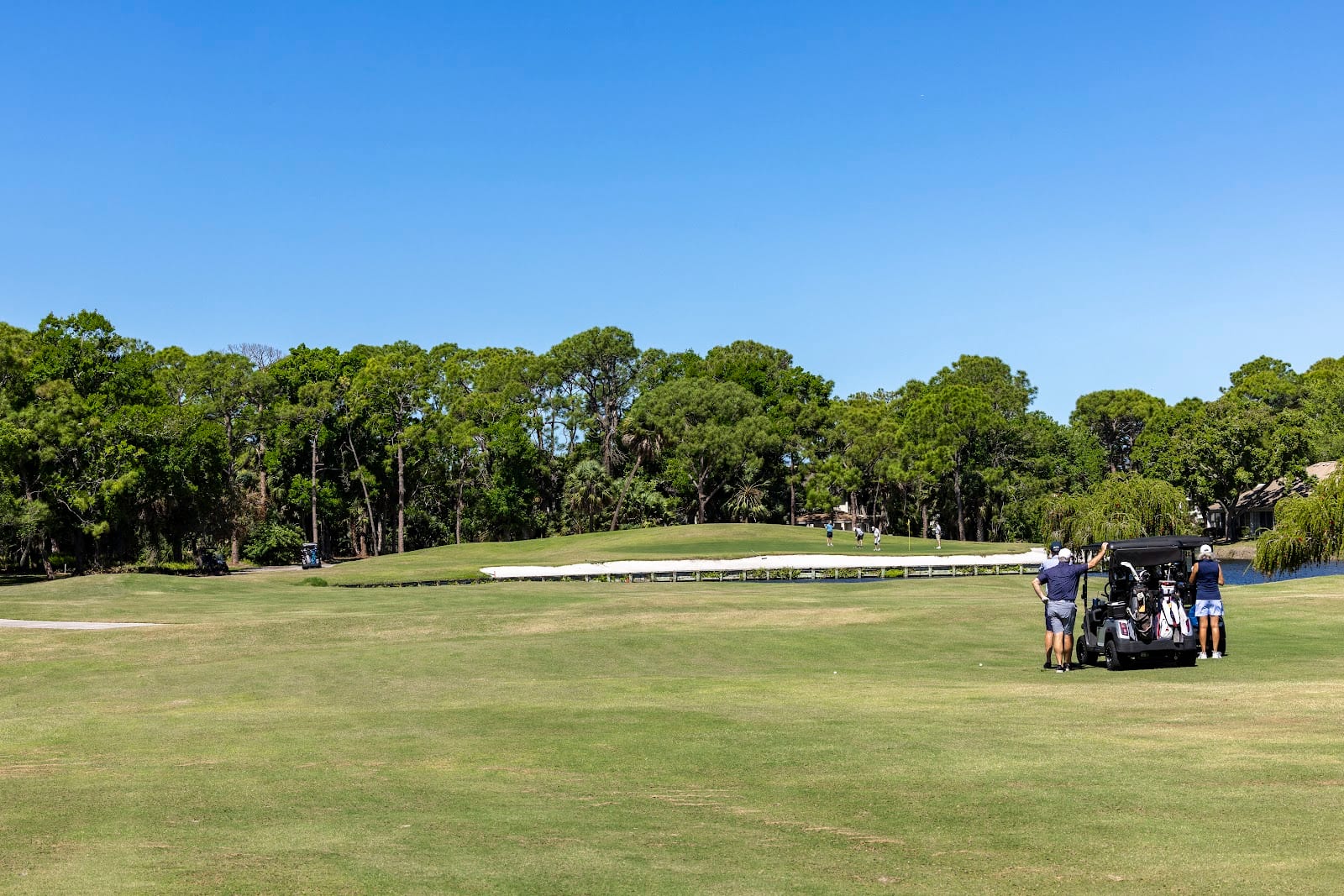 Meadows Golf Club, photo 2