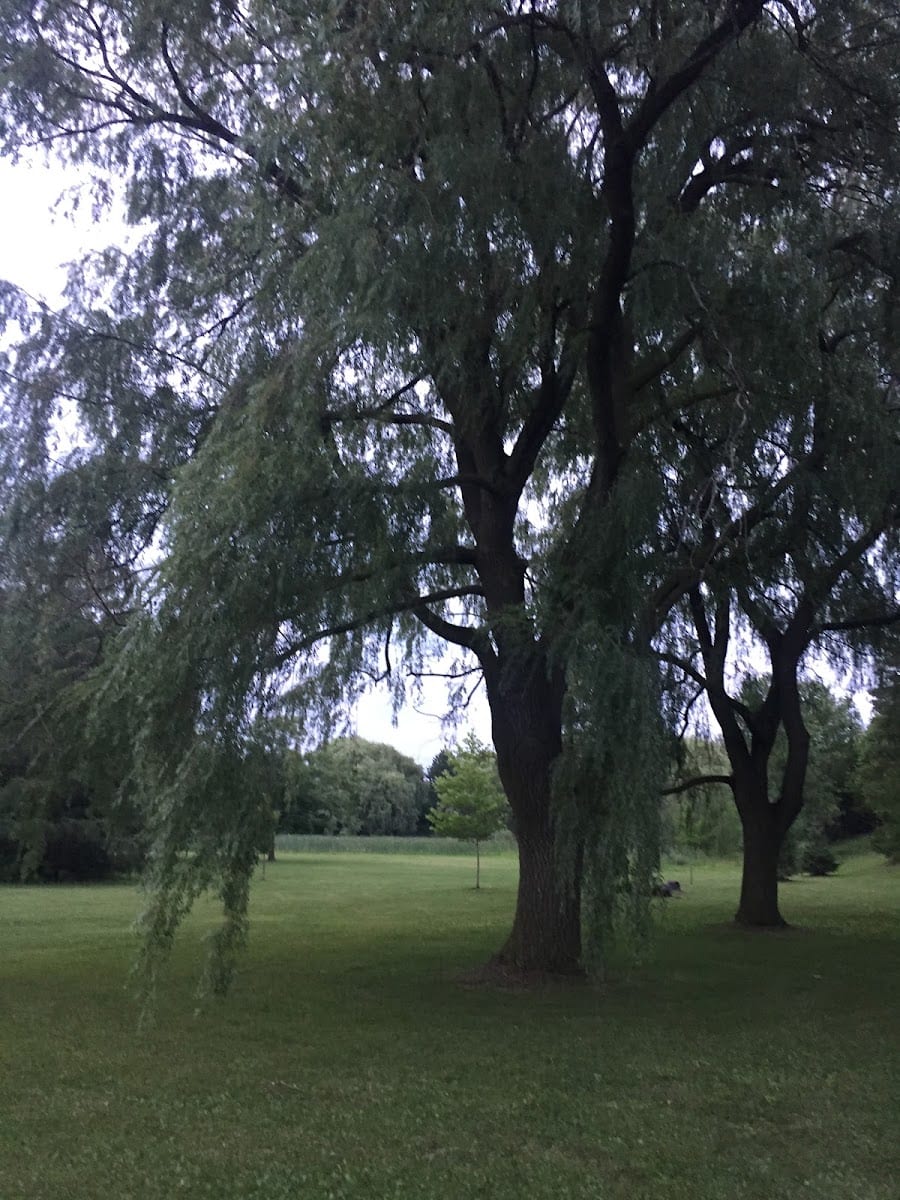 Ada Mackenzie Park, photo 3