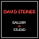David Steiner Gallery + Studio