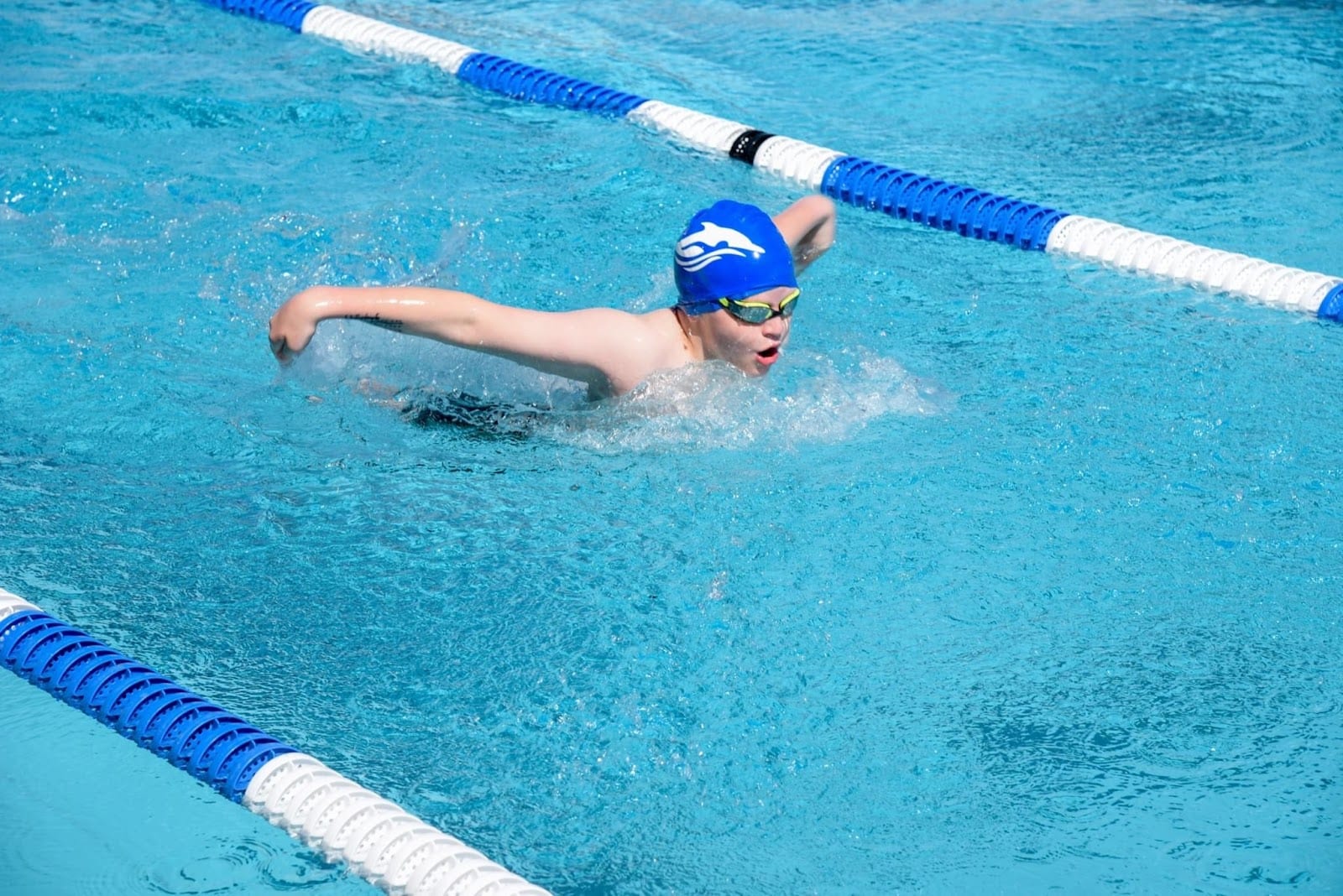 Helena Dolphins Swim Team, photo 3
