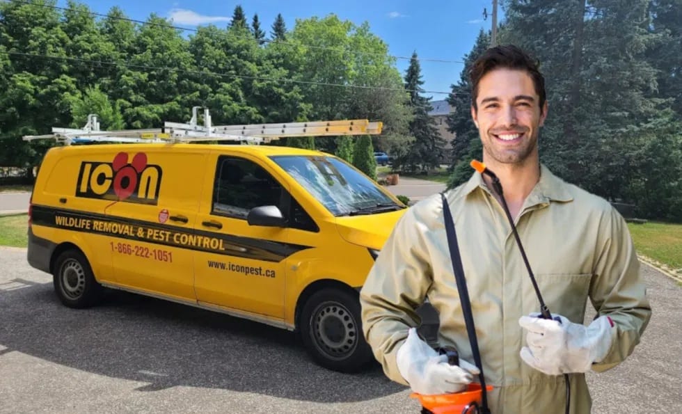 Icon pest control & wildlife removal in Richmond Hill, photo 2