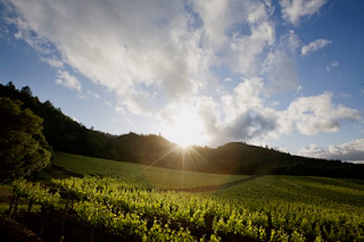 Vine Hill Ranch