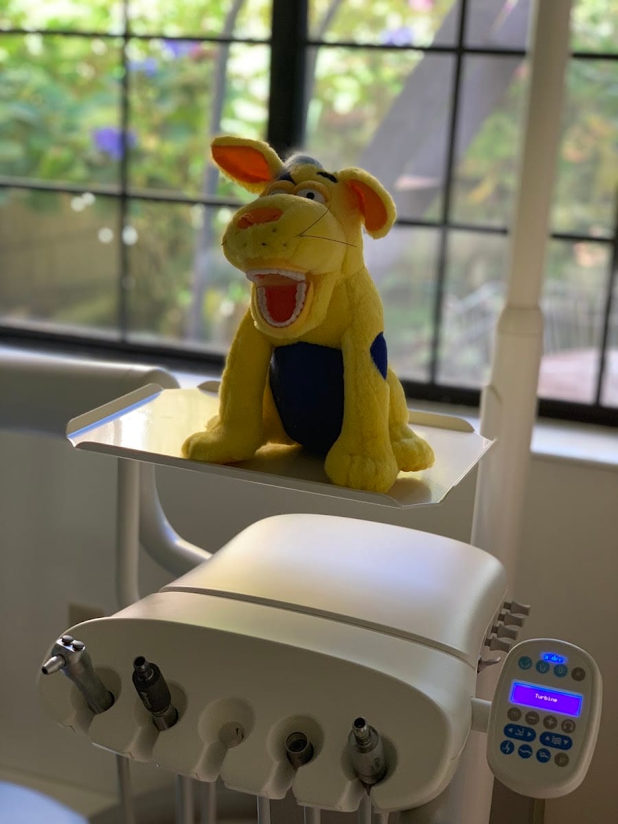 SF Pediatric Dentistry, Kristina Svensson, DDS, photo 3