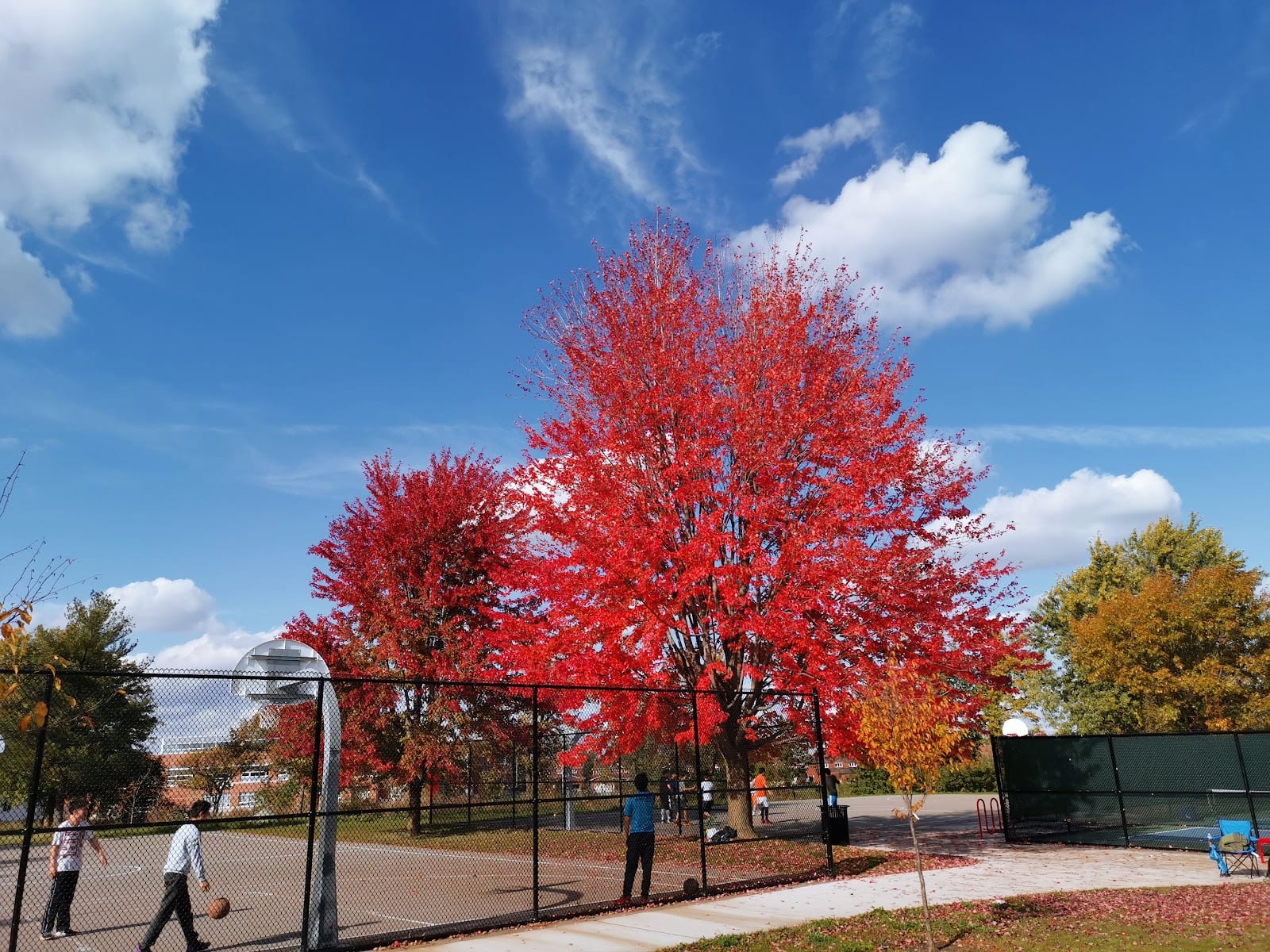 King's College Park, photo 3