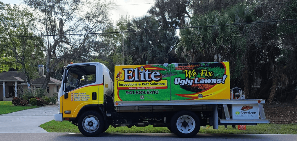 Elite Inspections & Pest Solutions, photo 2