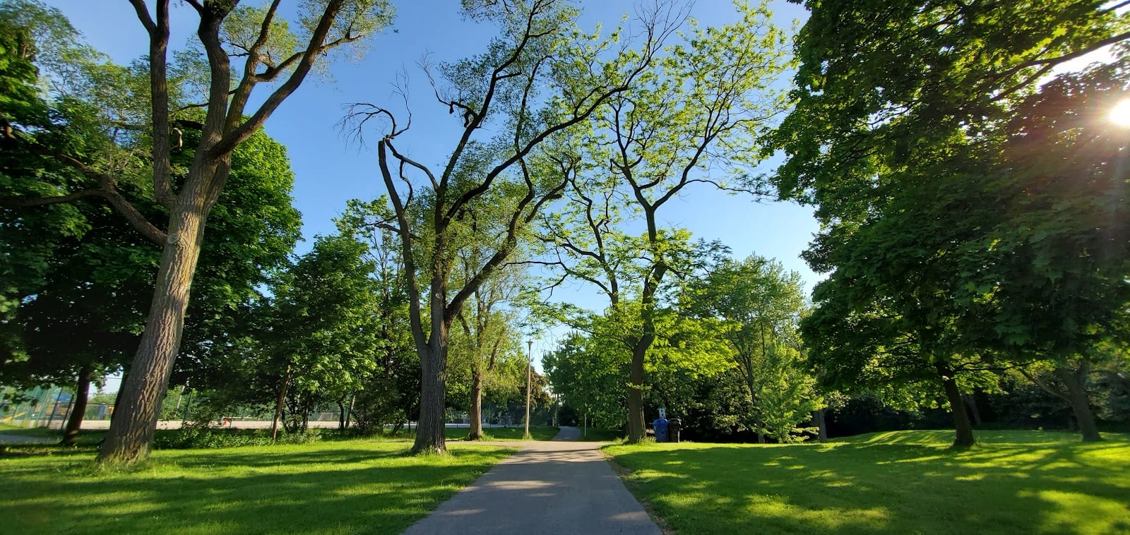 Graydon Hall Park