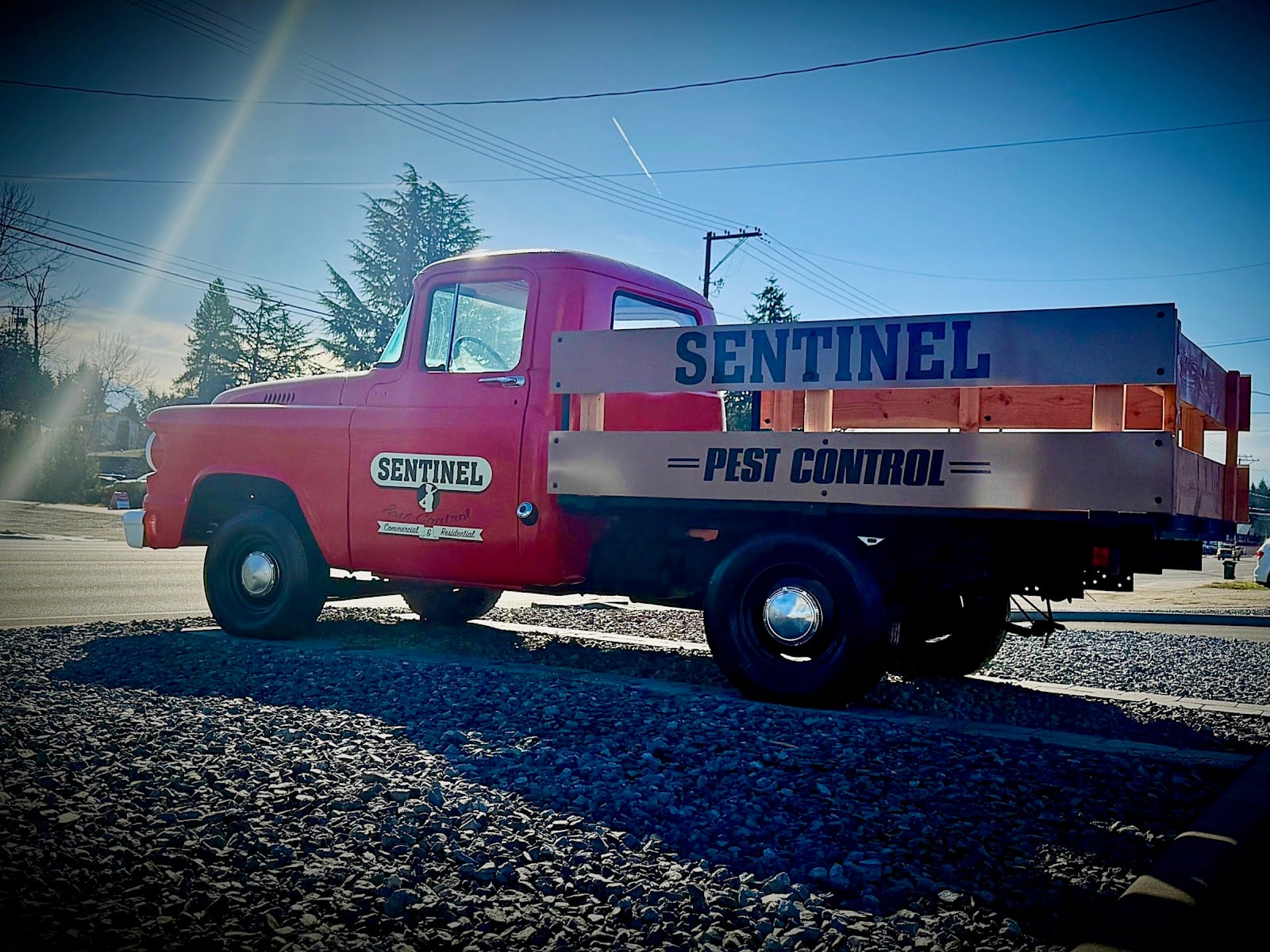 Sentinel Pest Control Olympia, photo 2