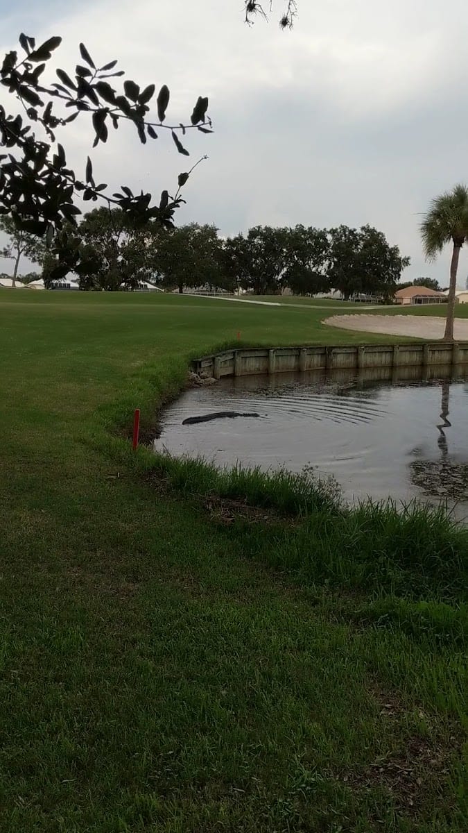 Plantation Golf & Country Club, photo 3