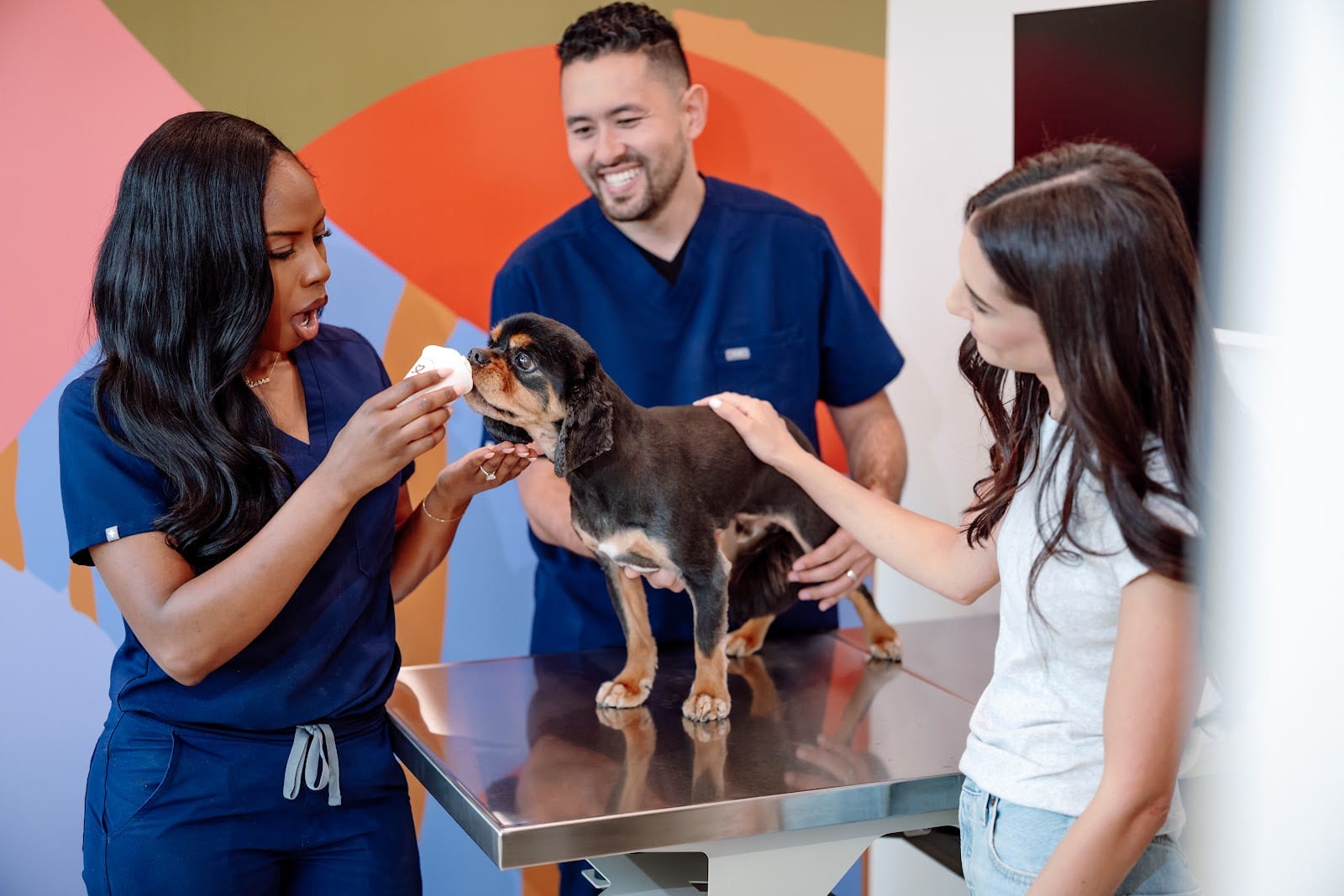 Petfolk Veterinary & Urgent Care - Frisco, photo 4