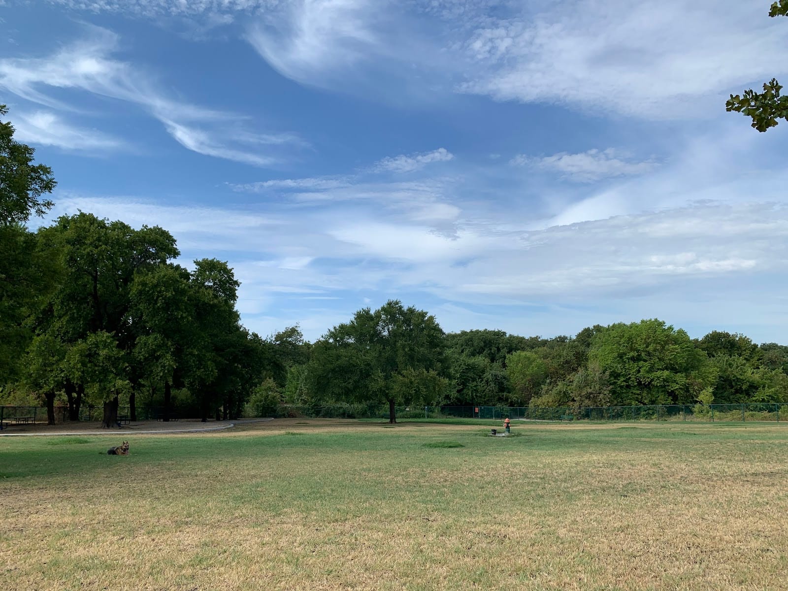 Wiggly Field Dog Park