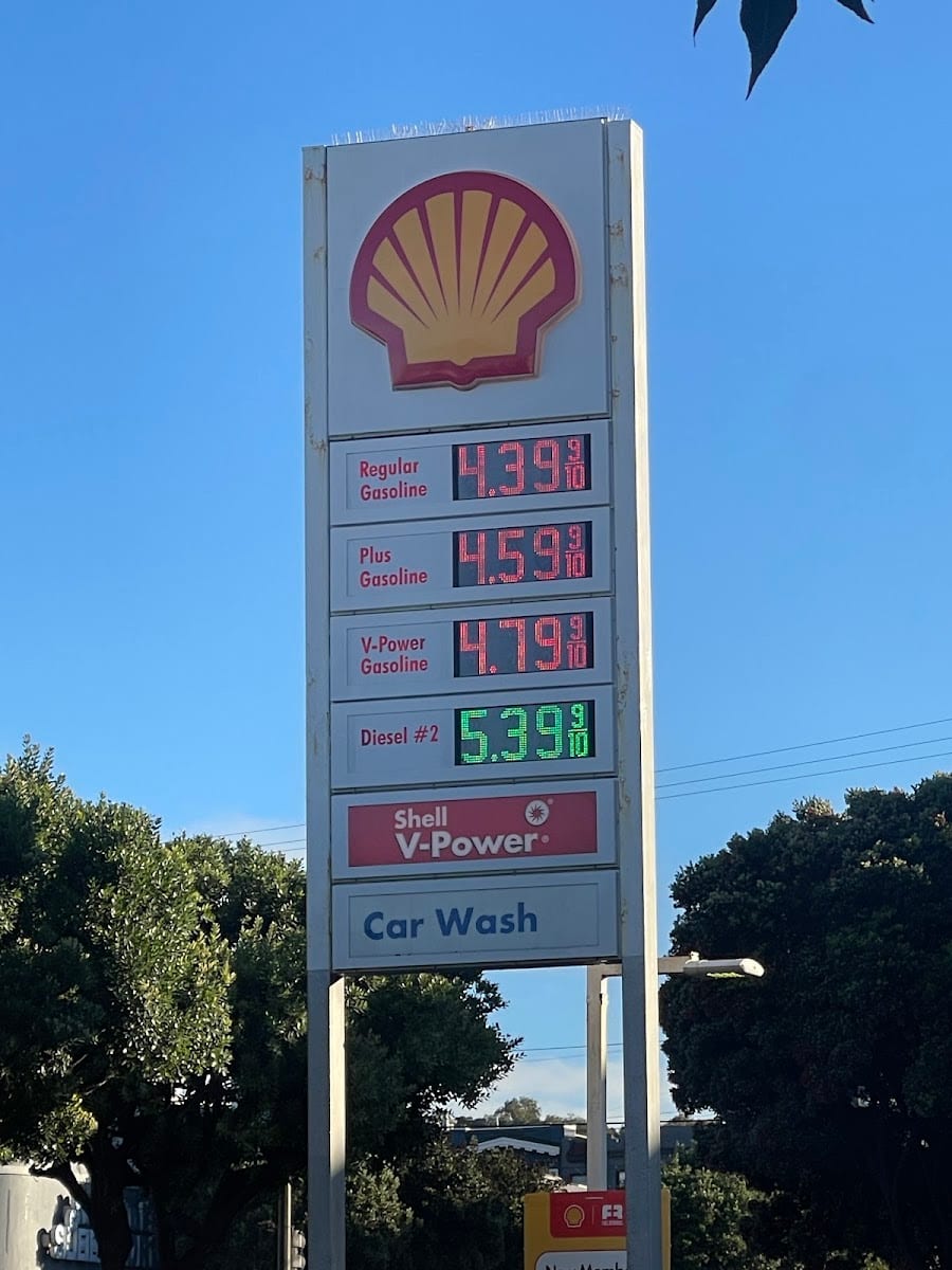 Shell, photo 3