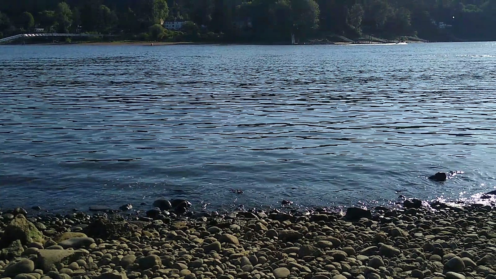 Milwaukie Bay Park, photo 3