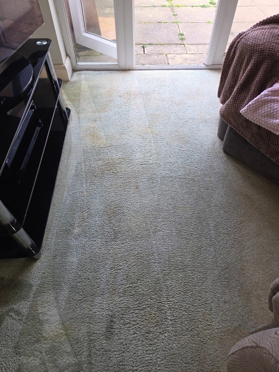Matt Steele Cleaning Services, photo 3