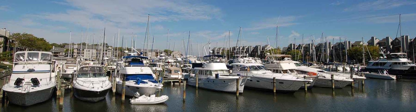 Kimberly Barton, REALTOR, photo 3