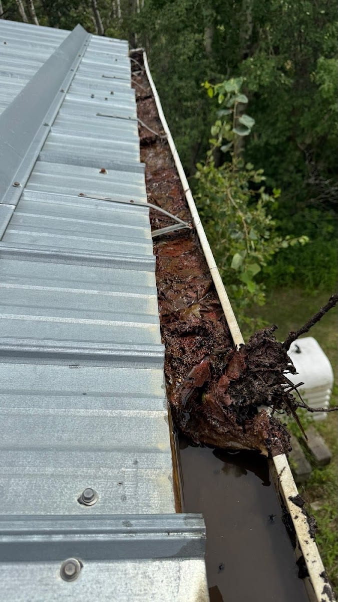Gorilla Property Services, photo 3
