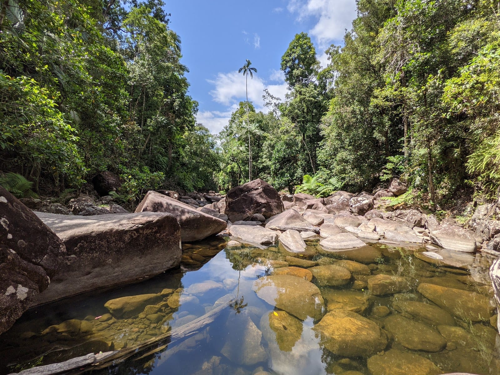 Eungella National Park, photo 3