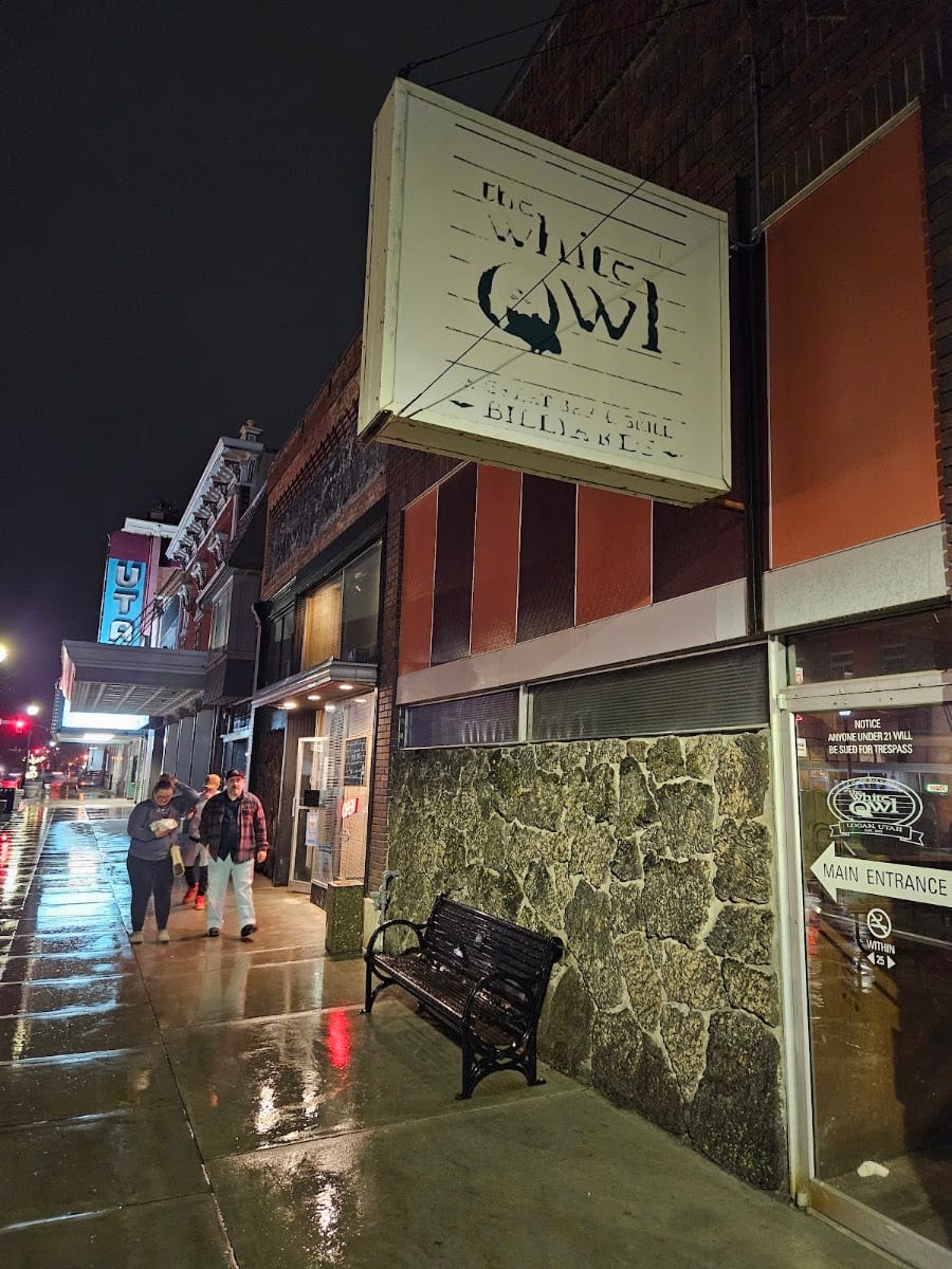 The White Owl