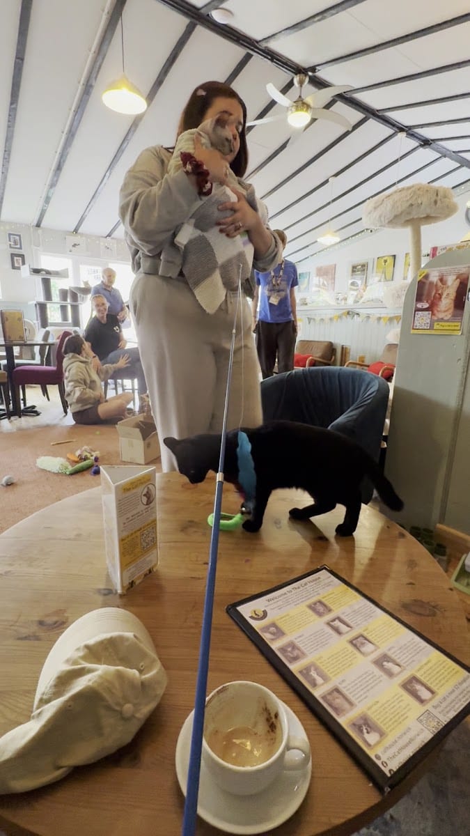 The Cat House - Norwich, photo 2