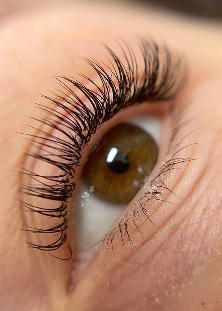 Envy Lashes - Sherwood Park AB, photo 4