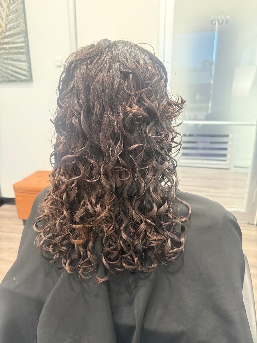 Gray Bee Salon
