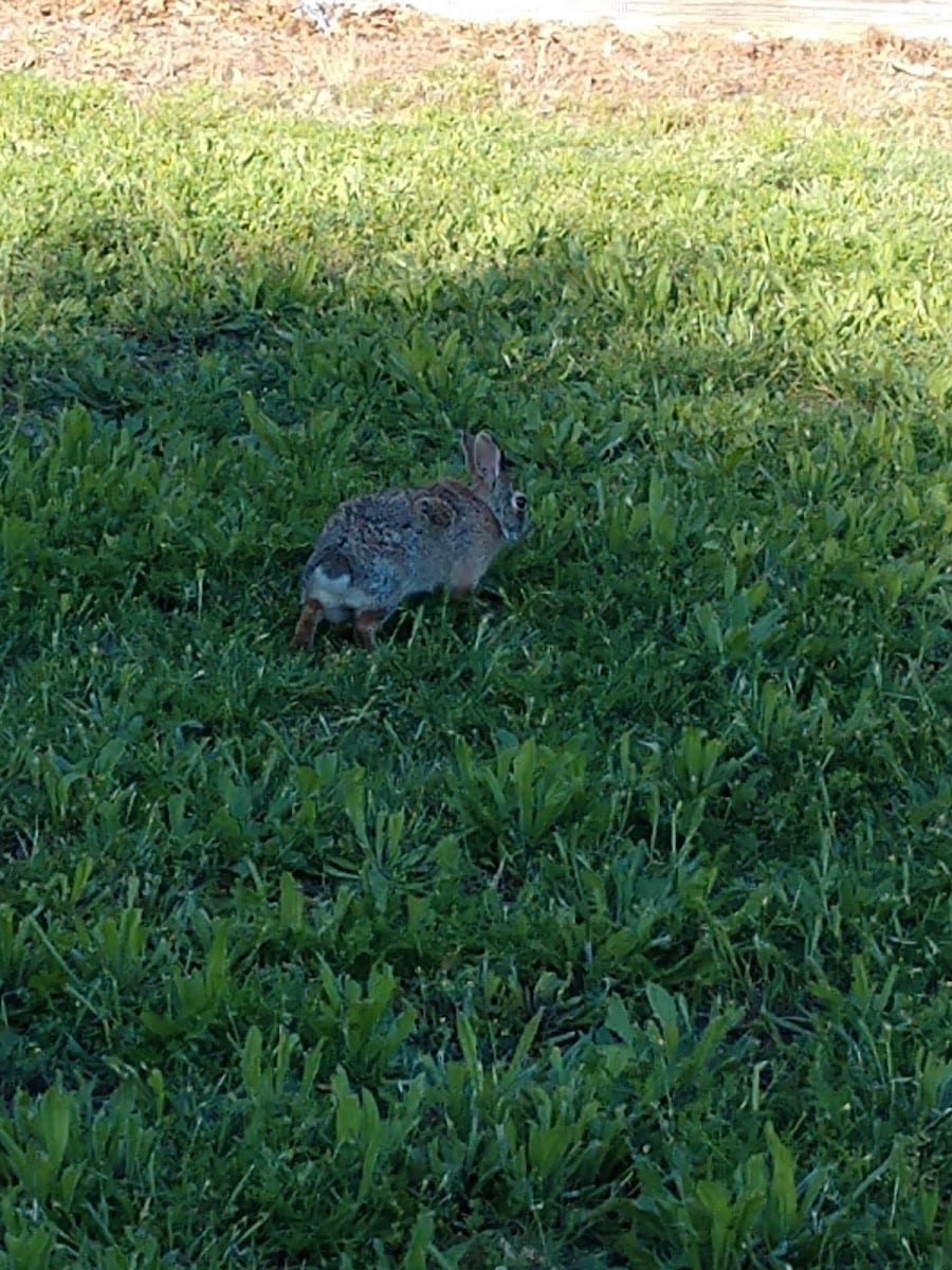 Preston Ridge Park, photo 3