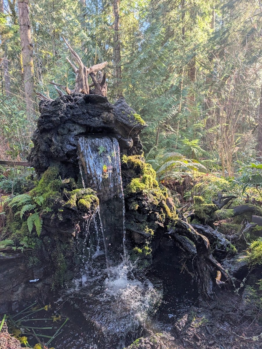 Squaxin Park (Priest Point), photo 3