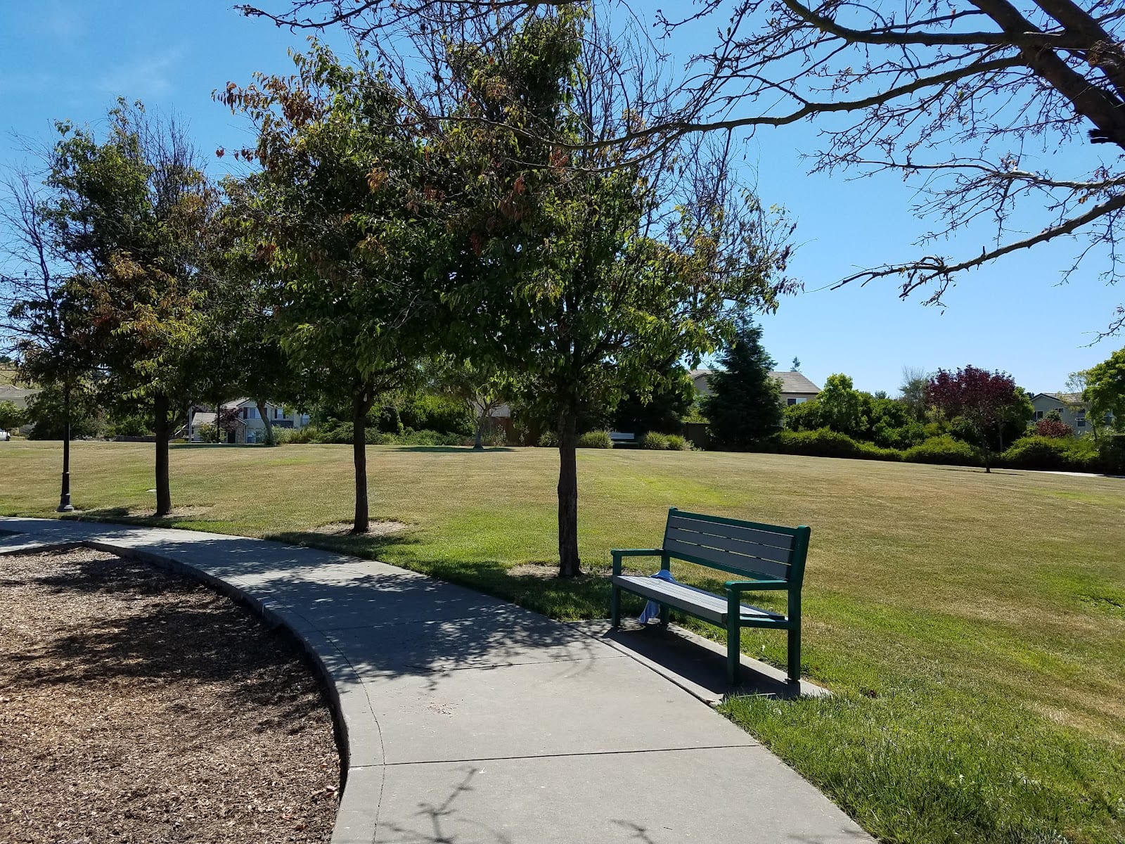 Gadwall Park