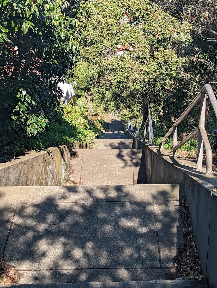 15th Avenue Steps, photo 3