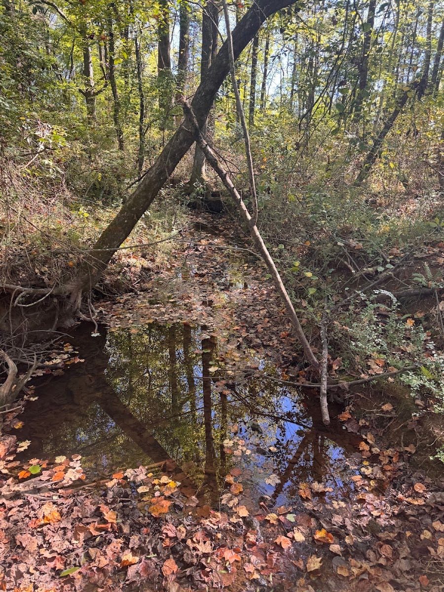 Balch Road Trailhead, photo 4